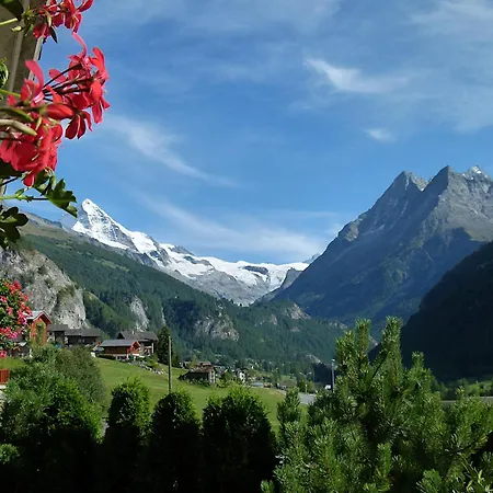 Bel Alp 2 Avec Jardin Lejlighed
